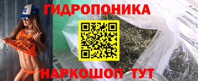 гидра Свободный