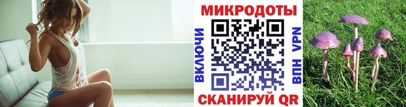 Псилоцибиновые грибы ЛСД  mega маркетплейс  Туймазы  купить закладку 